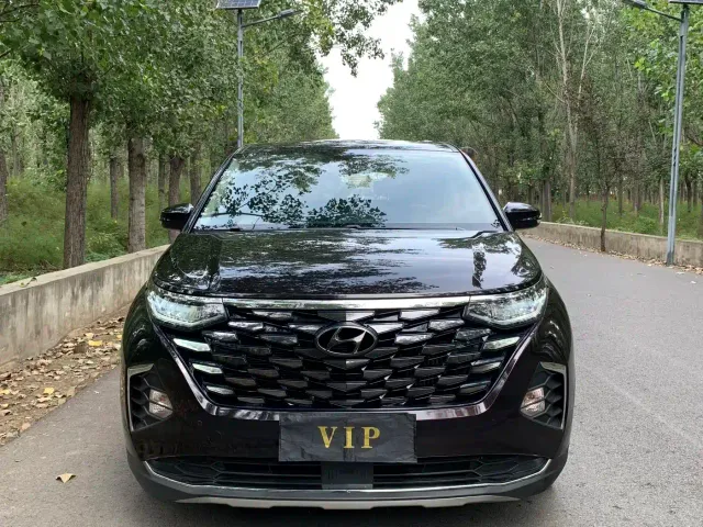Hyundai Custo — Фото автомобиля 2