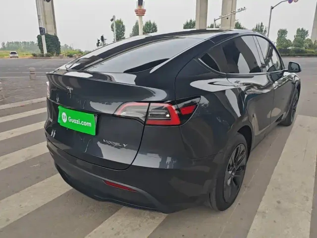 Tesla Model Y — Фото автомобиля 6