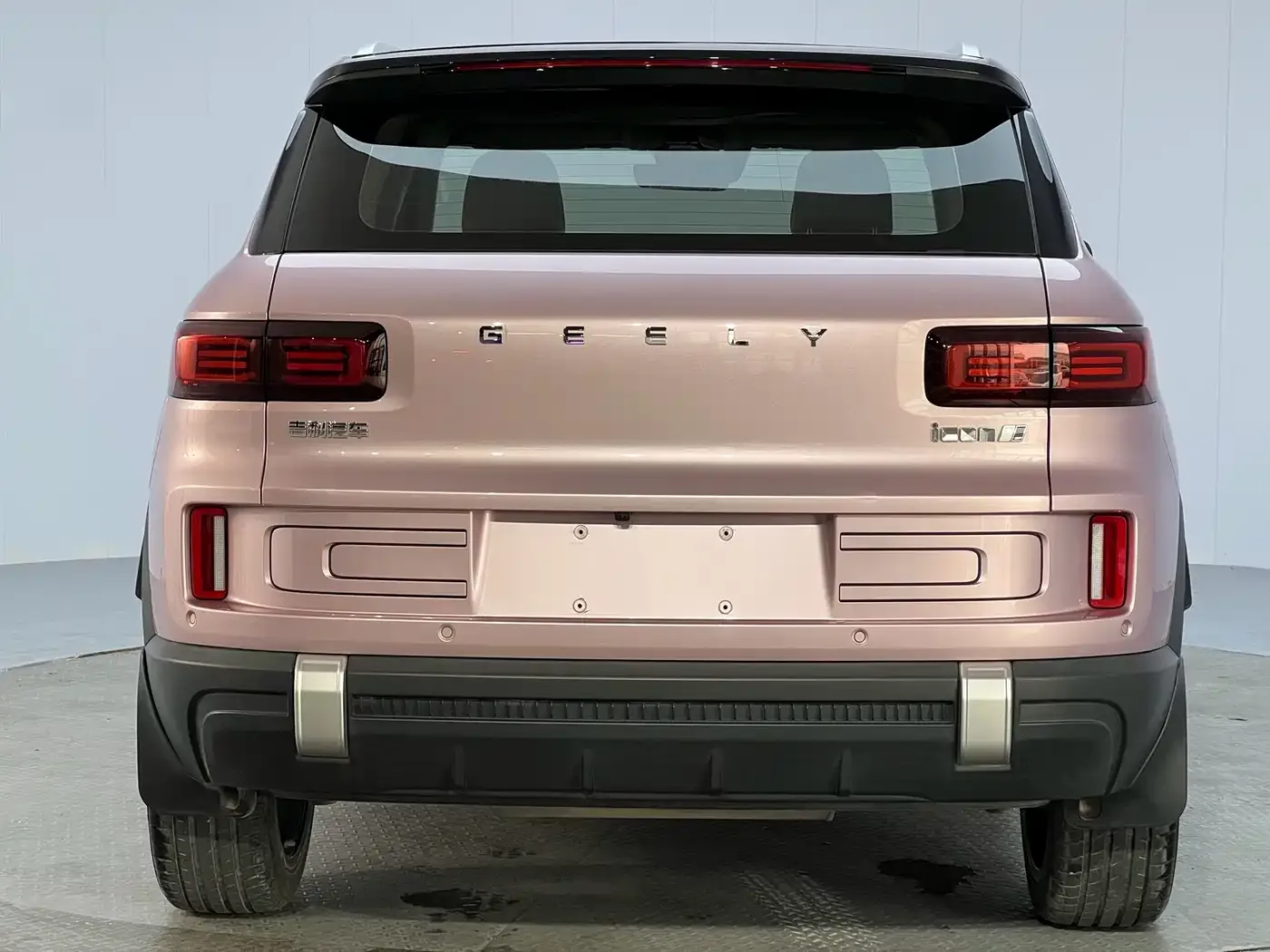Geely Geely ICON 2023 1.5TD Protagonist — Фото автомобиля 23