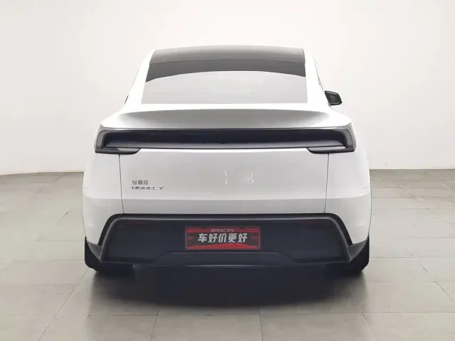 Tesla Model Y — Фото автомобиля 4