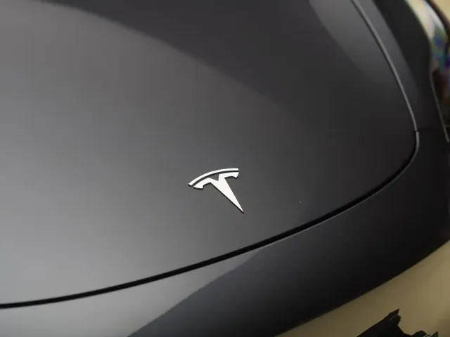 Tesla Model 3 — Фото автомобиля 10