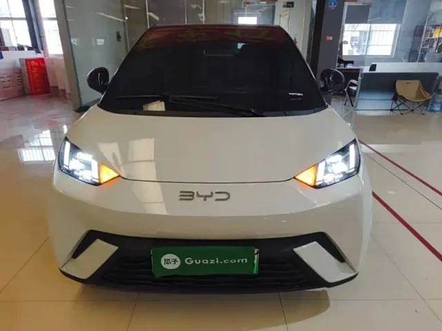 BYD Seagull — Фото автомобиля 2