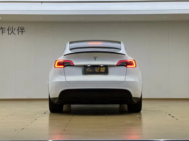 Tesla Model Y — Фото автомобиля 21