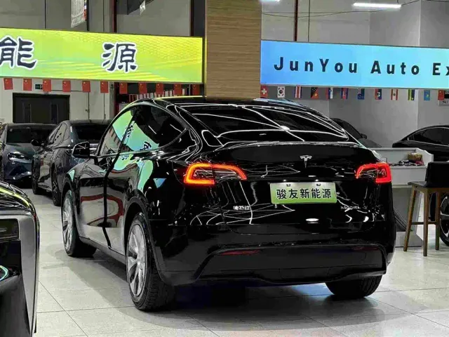Tesla Model Y — Фото автомобиля 12