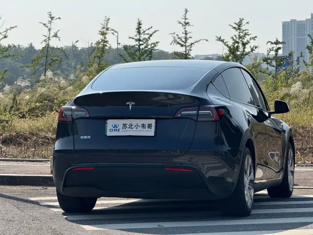 Tesla Model Y — Фото автомобиля 4