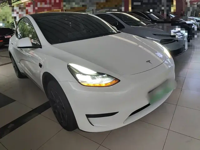 Tesla Model Y — Фото автомобиля 3
