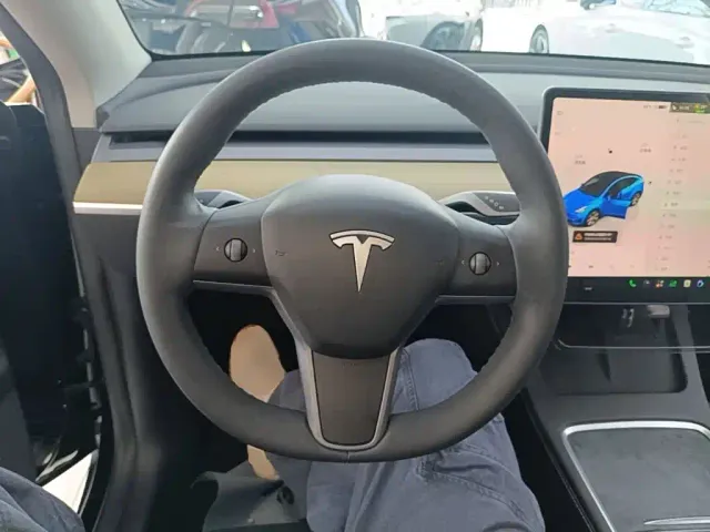 Tesla Model Y — Фото автомобиля 10