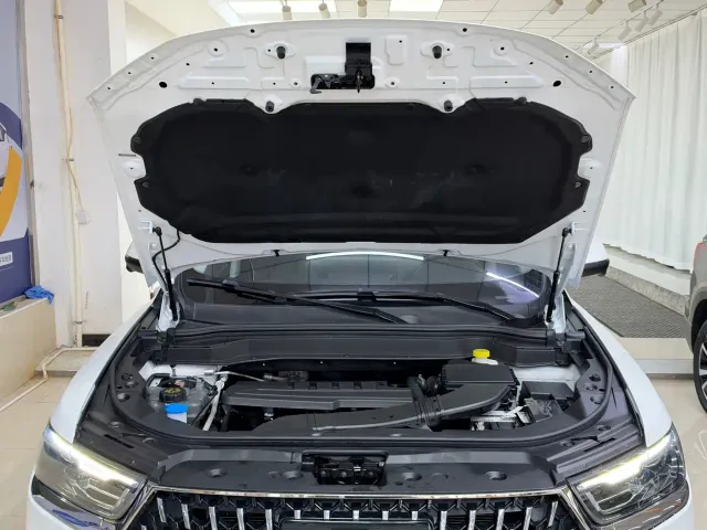Haval H6 — Фото автомобиля 24