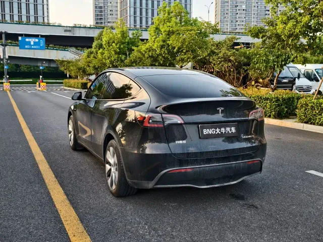 Tesla Model Y — Фото автомобиля 6