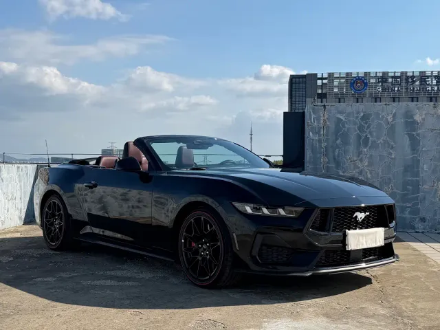 Ford Mustang — Фото автомобиля 11