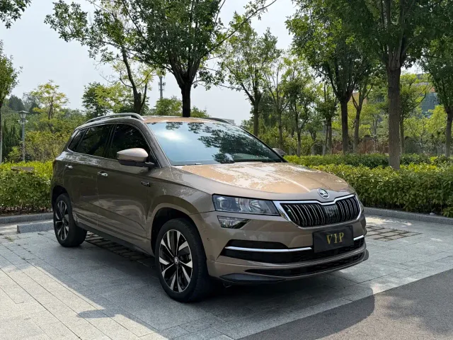 Skoda Karoq — Фото автомобиля 3