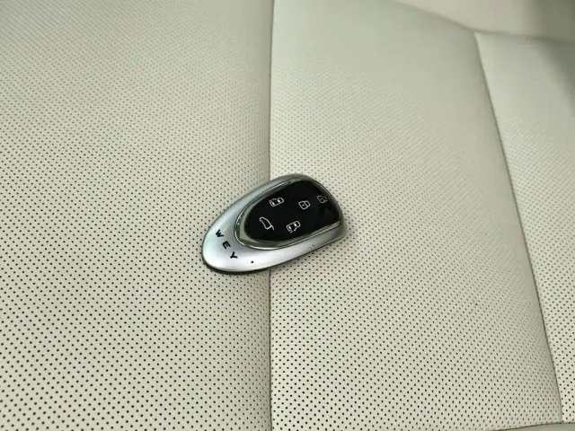Wey Alpine — Фото автомобиля 13