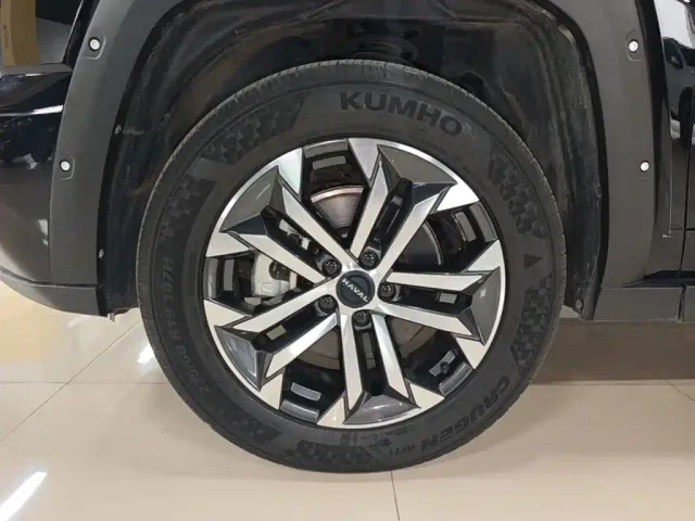 Haval Big Dog — Фото автомобиля 22