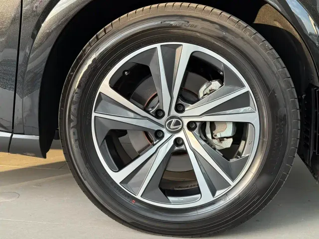 Lexus RX — Фото автомобиля 16