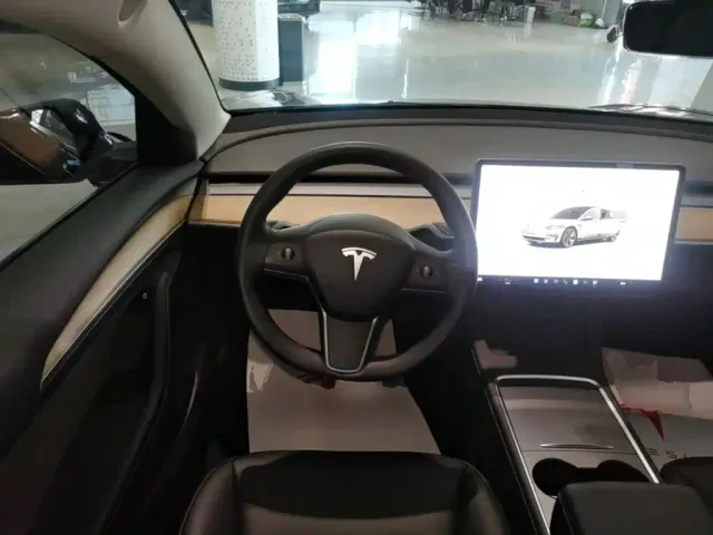 Tesla Model 3 — Фото автомобиля 10