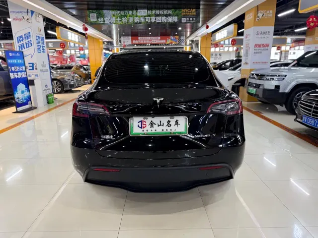 Tesla Model Y — Фото автомобиля 12