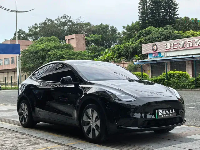 Tesla Model Y — Фото автомобиля 3