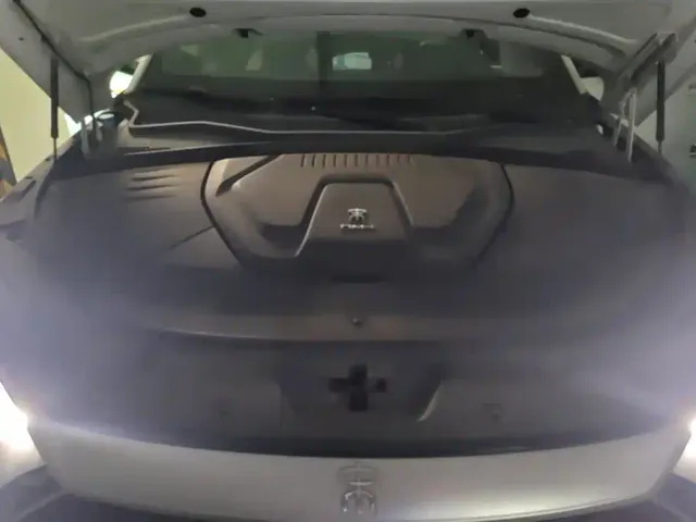 BYD Song PLUS — Фото автомобиля 10