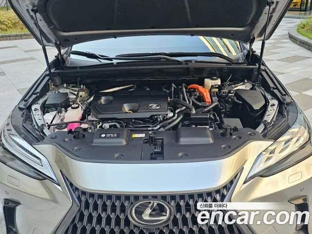 Lexus NX 2nd Gen — Фото автомобиля 6