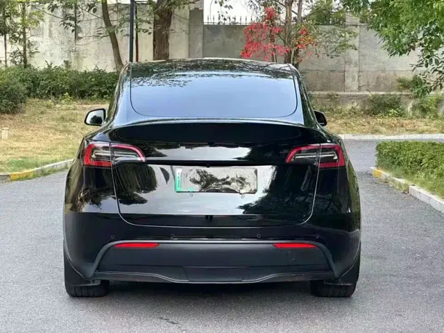 Tesla Model Y — Фото автомобиля 9