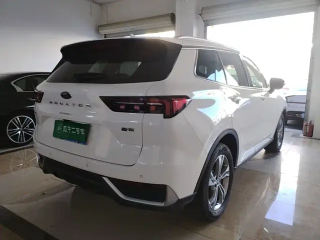 Ford Lingrui — Фото автомобиля 6