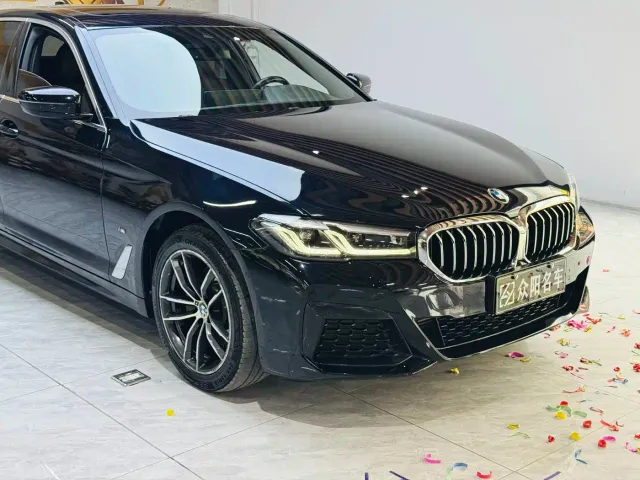 BMW 5 Series — Фото автомобиля 5