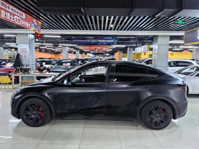 Tesla Model Y — Фото автомобиля 3