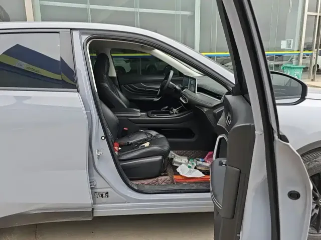 Venucia Venucia Big V 2023 260T Idol Edition Pro — Фото автомобиля 8