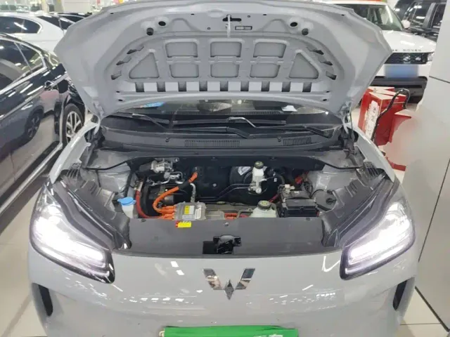 Wuling Binguo PLUS — Фото автомобиля 19