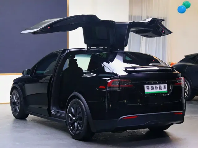 Tesla Model X — Фото автомобиля 22