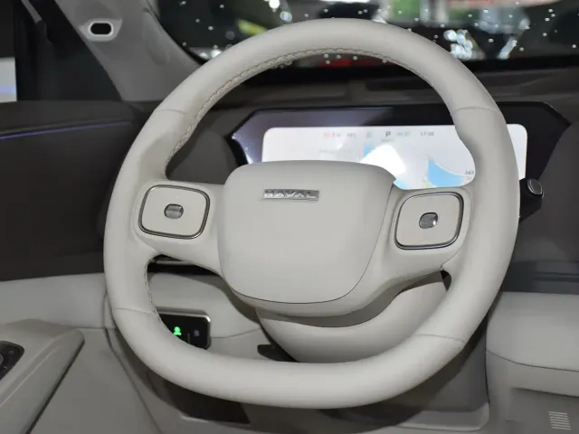 Haval Xiaolong MAX — Фото автомобиля 11