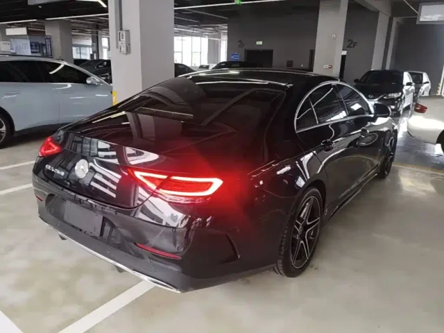 Mercedes-Benz CLS-Class — Фото автомобиля 6