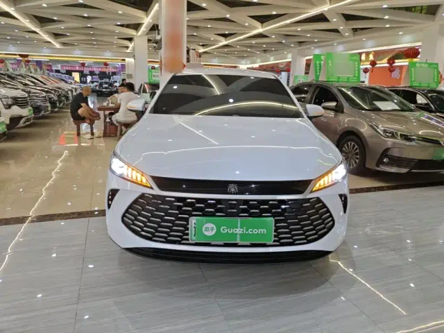 BYD Qin PLUS — Фото автомобиля 2