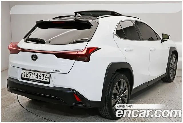 Lexus UX UX250h — Фото автомобиля 4