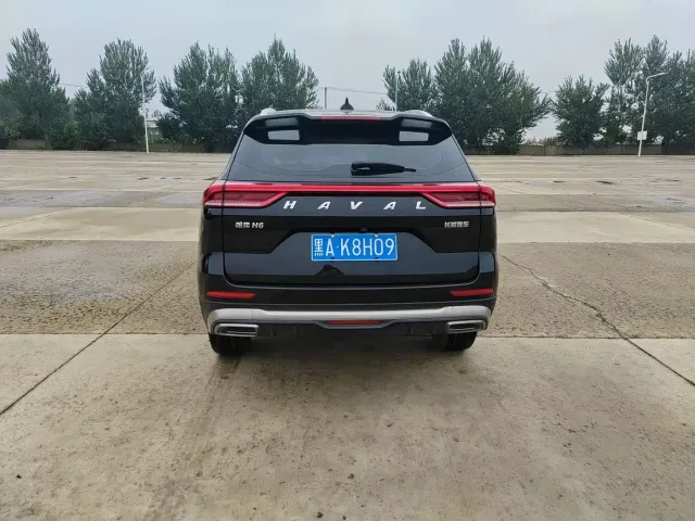 Haval Haval H6 2021 National Trend Edition 1.5T Automatic Urban Edition — Фото автомобиля 5