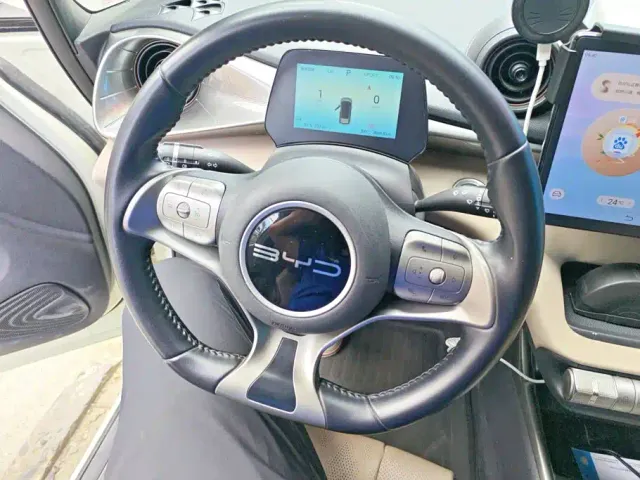 BYD Dolphin — Фото автомобиля 15