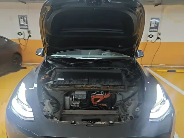 Tesla Model Y — Фото автомобиля 19
