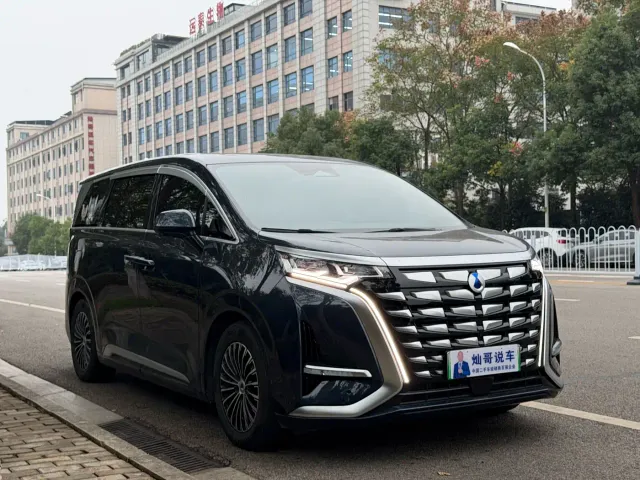 Denza D9 — Фото автомобиля 3