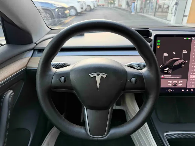 Tesla Model 3 — Фото автомобиля 19
