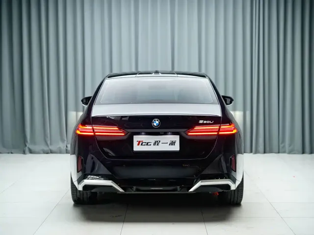 BMW 5 Series — Фото автомобиля 11