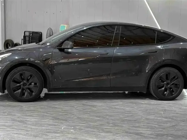 Tesla Model Y — Фото автомобиля 4