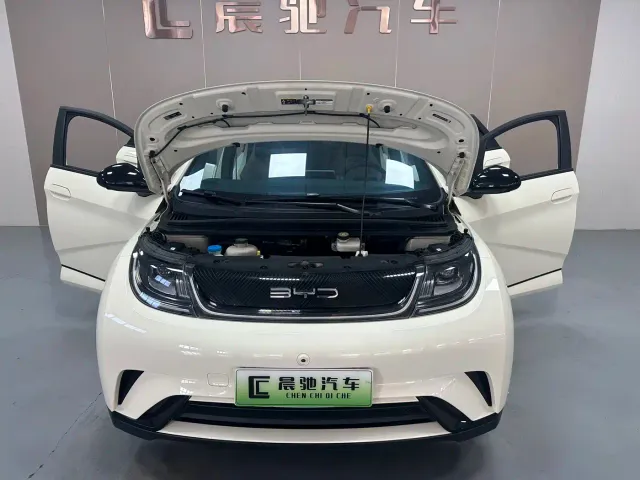 BYD Dolphin — Фото автомобиля 17
