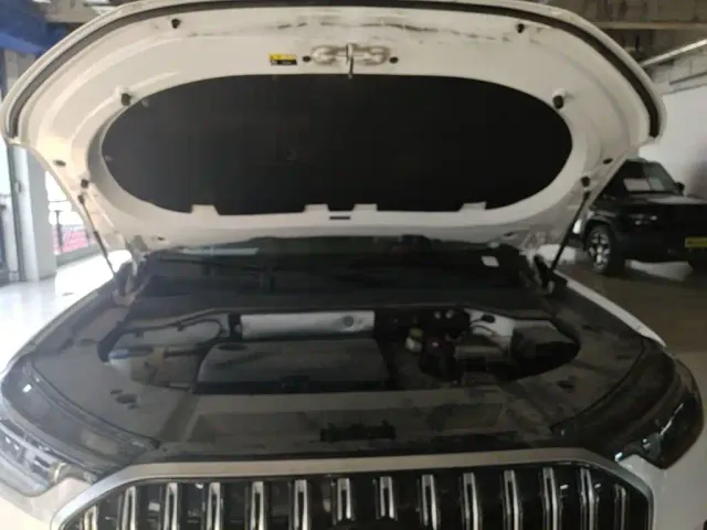 Chery Tiggo 9 — Фото автомобиля 19