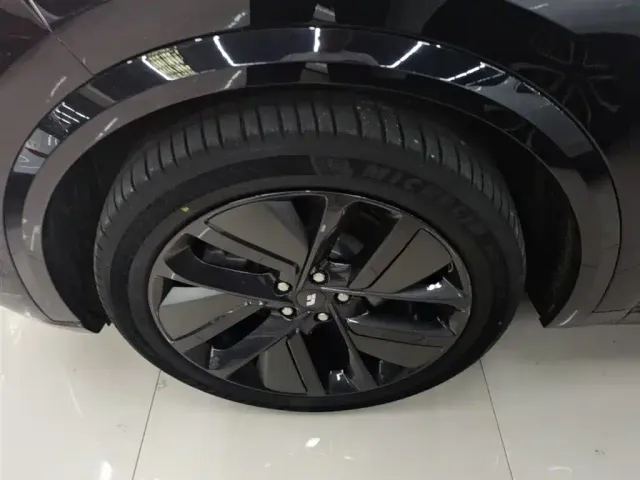 Li Auto L9 — Фото автомобиля 22