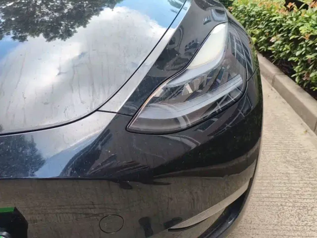 Tesla Model Y — Фото автомобиля 23