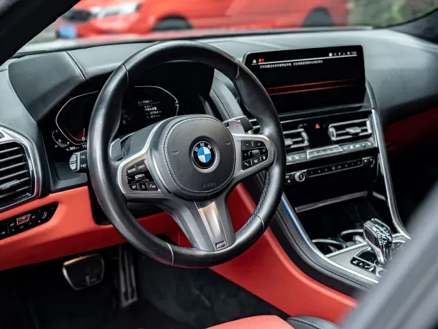 BMW 8 Series — Фото автомобиля 9