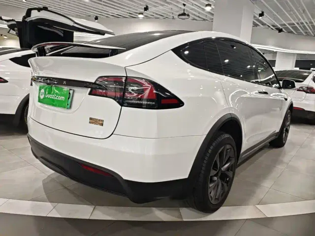 Tesla Model X — Фото автомобиля 6