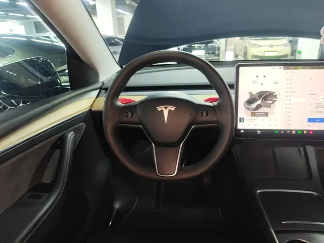 Tesla Model Y — Фото автомобиля 10