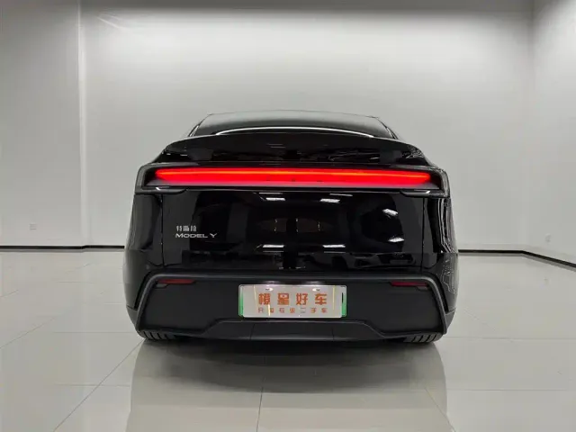 Tesla Model Y — Фото автомобиля 5