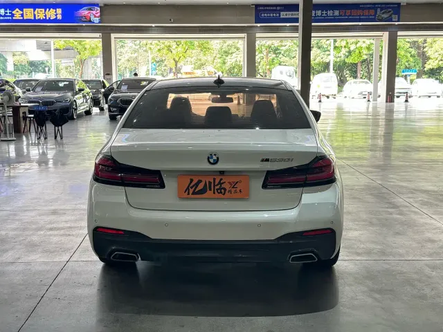 BMW 5 Series — Фото автомобиля 8